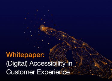 Calvi-overzicht-accessibility-whitepaper